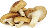Emballage vrac (kg) - Champignons shiitake frais BIO (Polonais) (environ 2 kg)